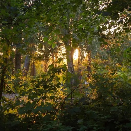 アパート Wohnen Am Suedstrand - 1 8