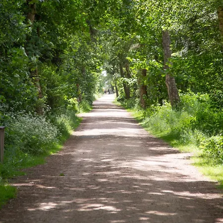 Wohnen Am Suedstrand - 1 8 アパート